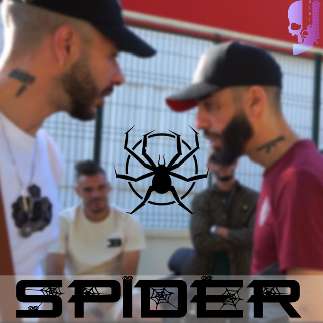 Spider