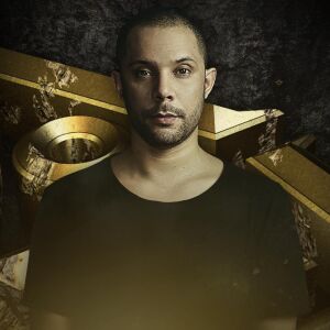 Wildstylez