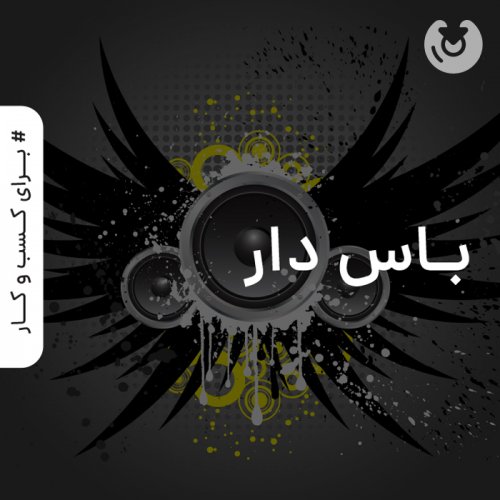 باس دار