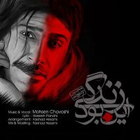 این بود زندگی