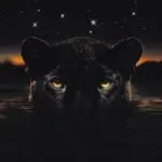 Hollywood (feat. Earth, Wind & Fire & Hazel Monét)