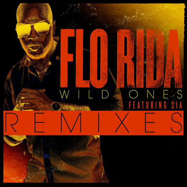 Wild Ones (feat. Sia) - Project 46 Remix