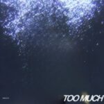 Too Much