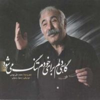 ناگهان دیدم