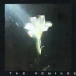 Light That Leads Me (feat. Bebe Rexha) (Subsonic Extended Remix)