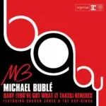 Baby (You've Got What It Takes) [with Sharon Jones & the Dap-Kings] (Wawa Special Extended Club Mix)