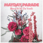 Blame It On The Youth