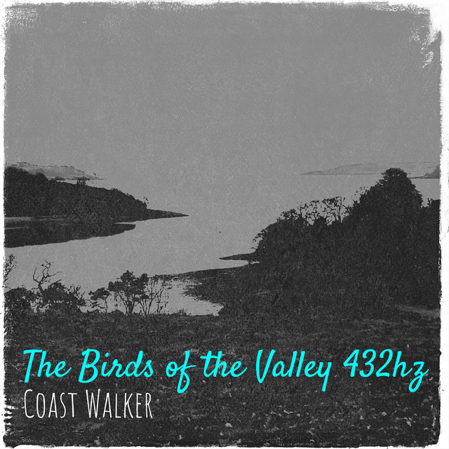 The Birds of the Valley 432hz