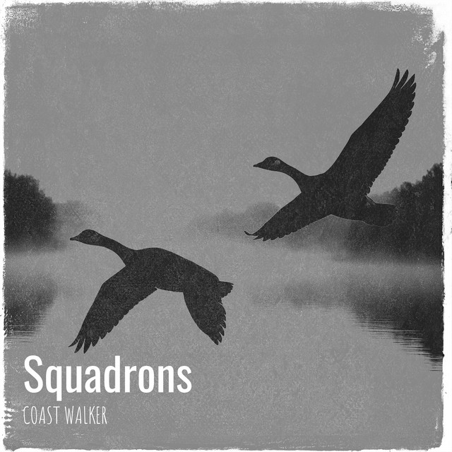 Squadrons