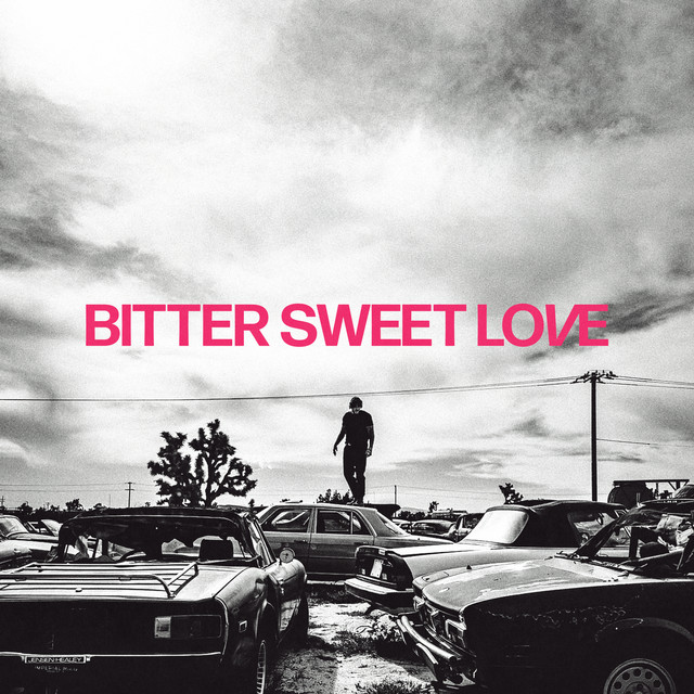 Bitter Sweet Love - Orchestral Version live from Channel Aid