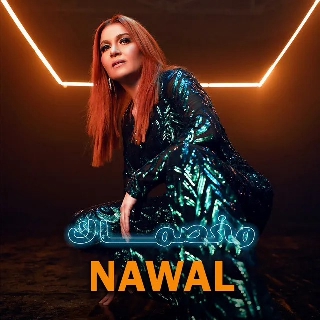 لسه شوفتوا حاجه