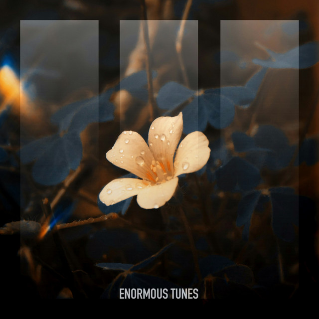 Bloom in the Ashes - Extended Intro Mix