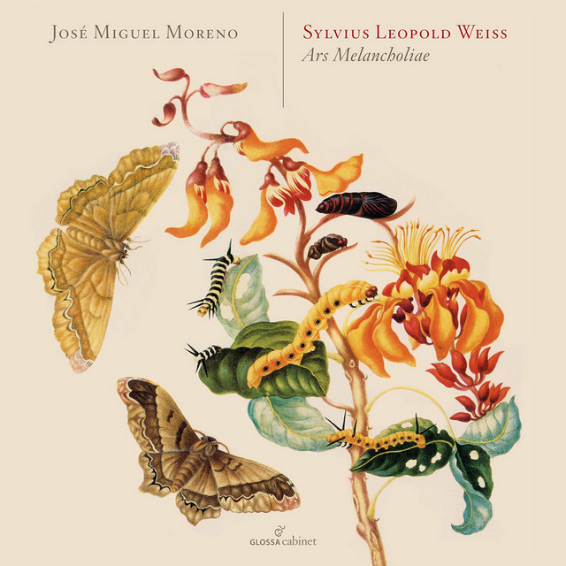 Lute Sonata No. 5 in G Major, WeissSW 5: I. Prelude