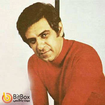 عروس و داماد