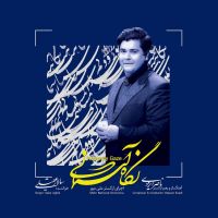 ناصر ایزدی