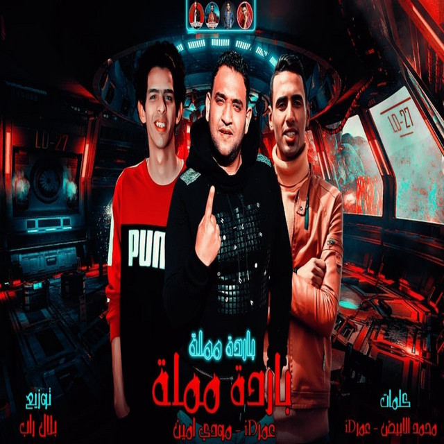 باردة مملة