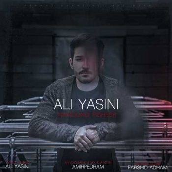 نموندی پیشش