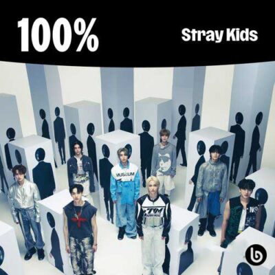 100% Stray Kids
