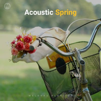Everyone Around (Acoustic) (Beta Radio)