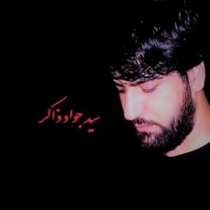 سید جواد ذاکر