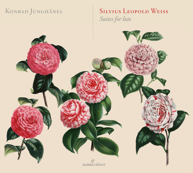 Lute Suite in C Minor: VI. Menuet