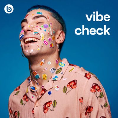 Vibe Check (Playlist)