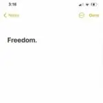 Freedom