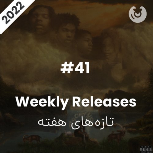 the 41st week