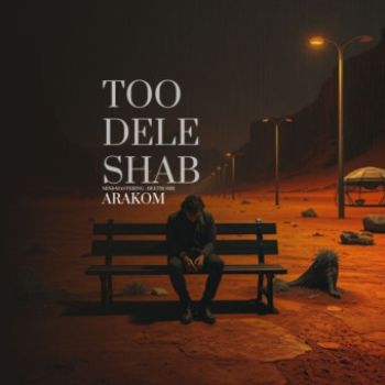 تو دل شب