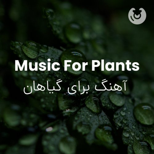 music for plants