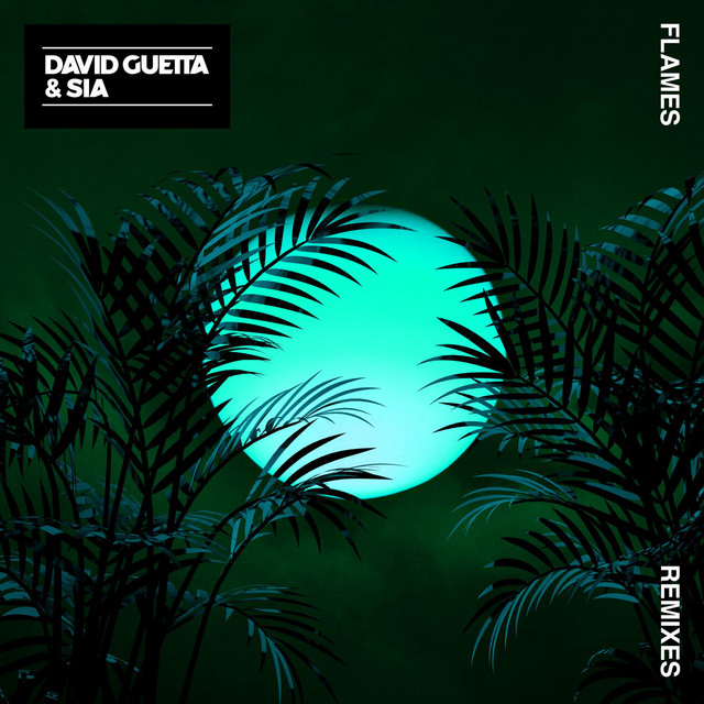 Flames - Tom Martin Remix