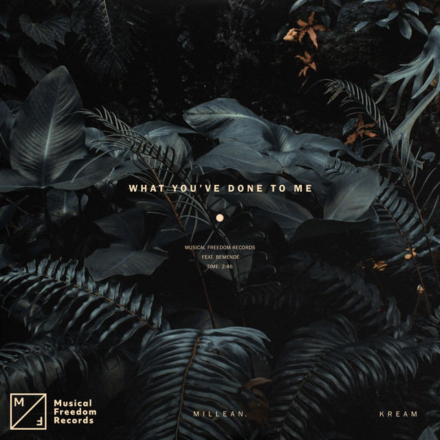 What You've Done To Me (feat. Bemendé) - Extended Mix