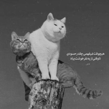 استثنائی