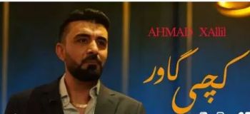 کچی گاور