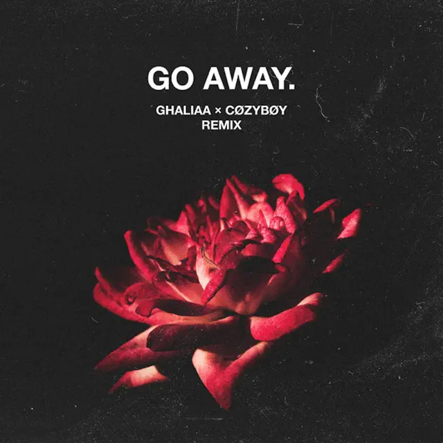 Go Away - Remix