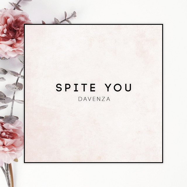 Spite You