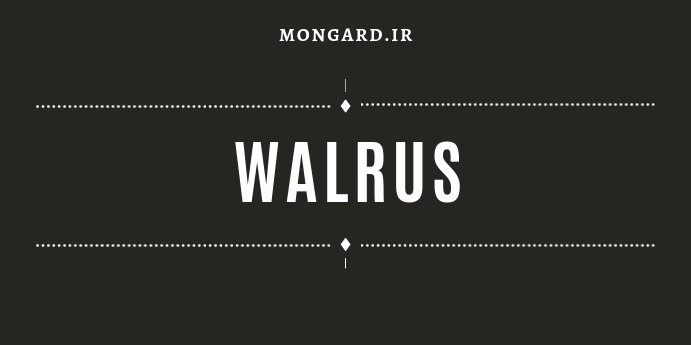ویدیو آموزش عملگر walrus در پایتون