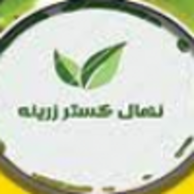 لوگوی نهال گستر زرینه