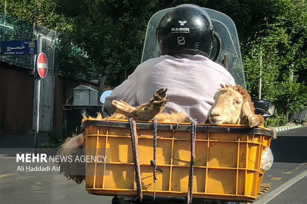 حمل و نقل های غیر مجاز موتور سیکلت سواران خطر تصادف را افزایش می دهد