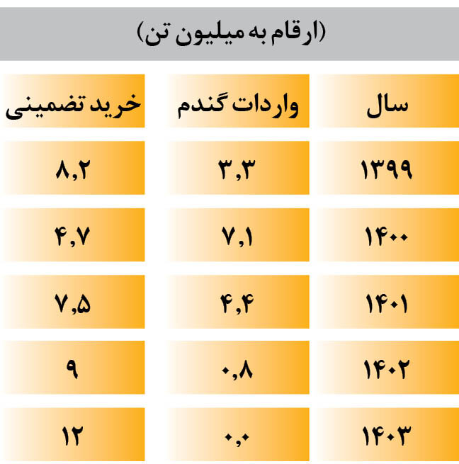 رکورد تولید گندم کشور شکست | شروط تداوم خودکفایی گندم