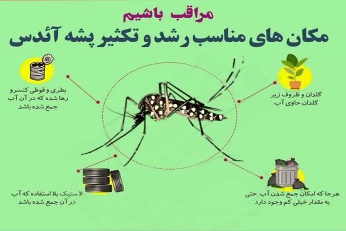 آمار موارد مثبت ابتلا به تب دنگی در کشور