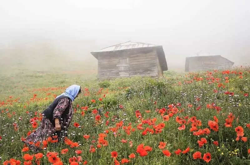 ییلاقات تالش؛‌ بهشت بکر و دست‌نخورده ایران |  بهترین گزینه برای آخرین سفر تابستانی