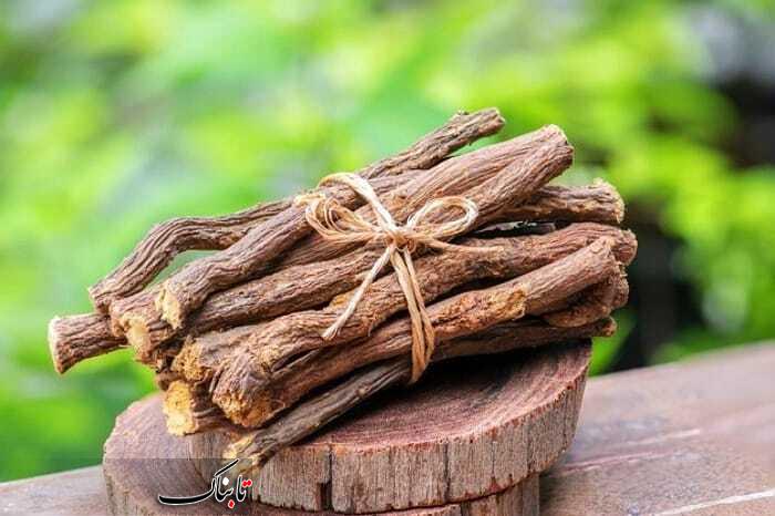 روش صحیح درمان خانگی زخم معده با شیرین بیان روش صحیح درمان خانگی زخم معده با شیرین بیان