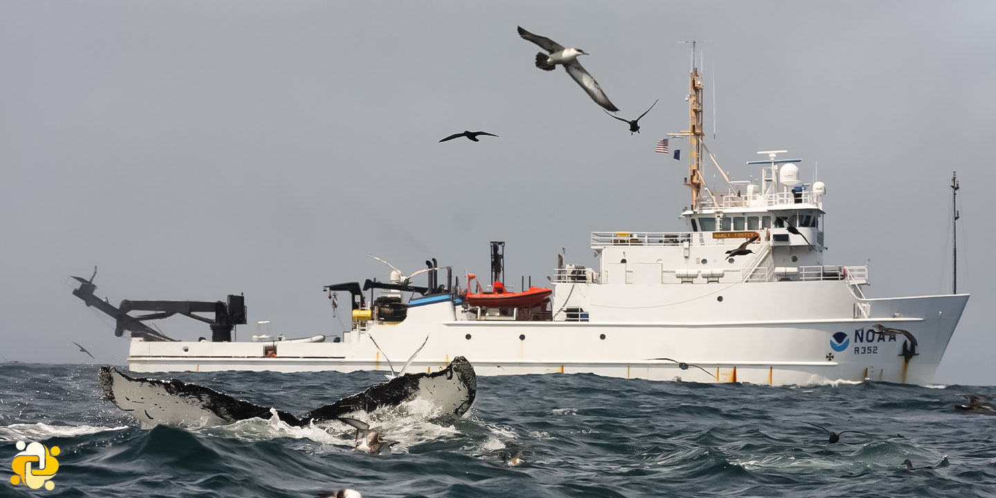 توسعه‌دهنده مزرعه باد فراساحلی برای محافظت از نهنگ‌های بزرگ‌سر به هوش مصنوعی روی می‌آورد