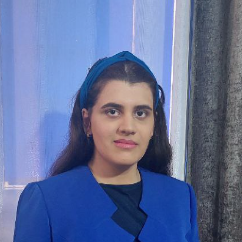 مینا معینی فر