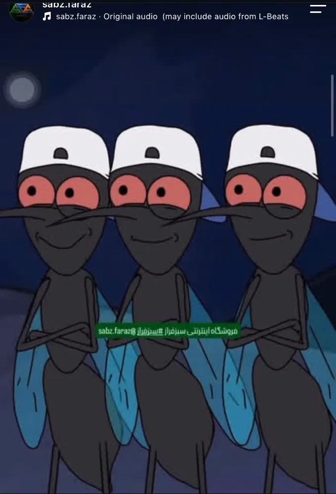 ویدیو