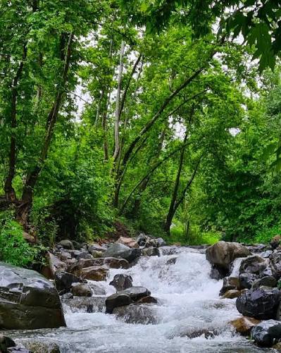 روستای شیت، طارم