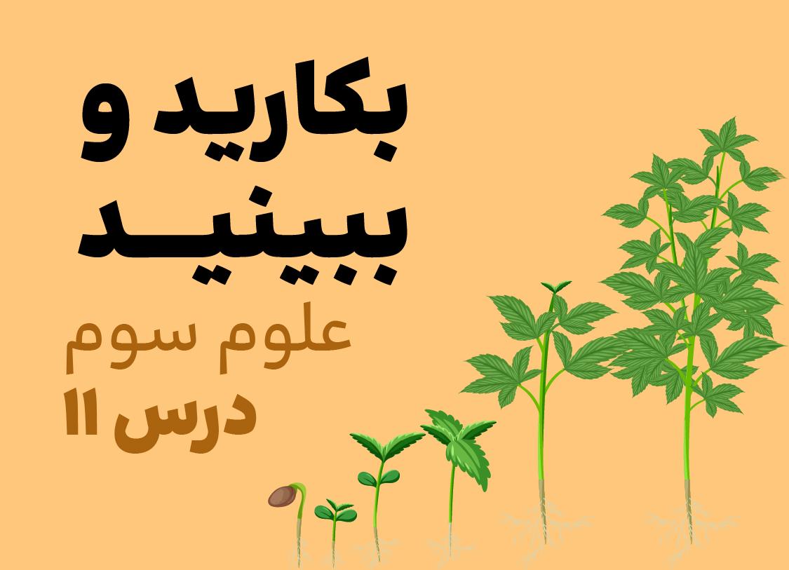 درس یازدهم: بکارید و ببینید