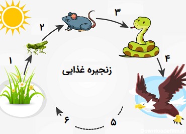 درس دوازدهم: جنگل برای کیست؟