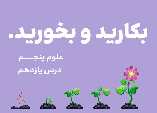 درس یازدهم: بکارید و بخورید